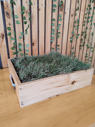 Ecolovers tamaño S 50cm x 45 cm 