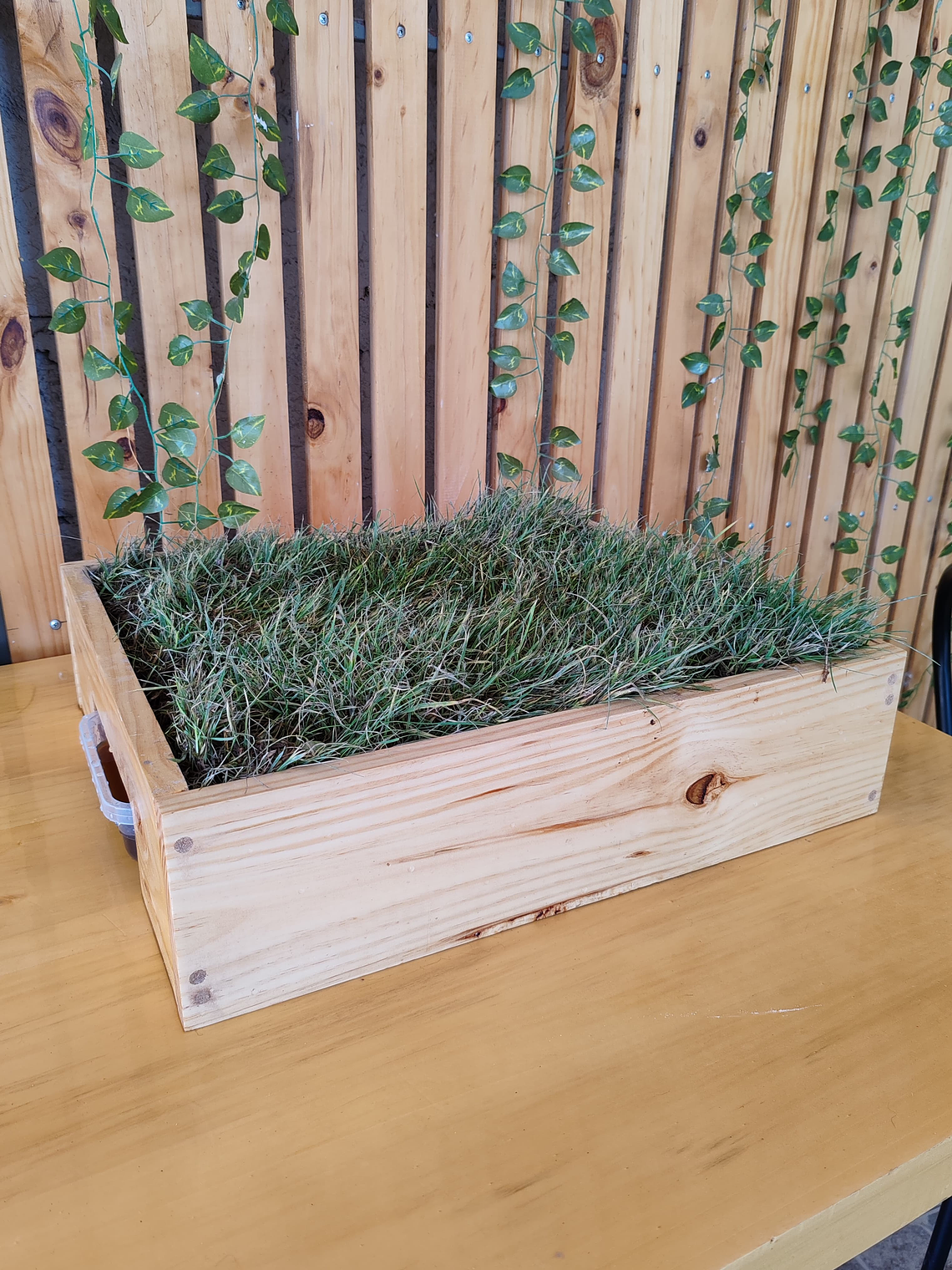 Ecolovers tamaño S 50cm x 45 cm  2