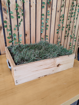 Ecolovers tamaño S 50cm x 45 cm 