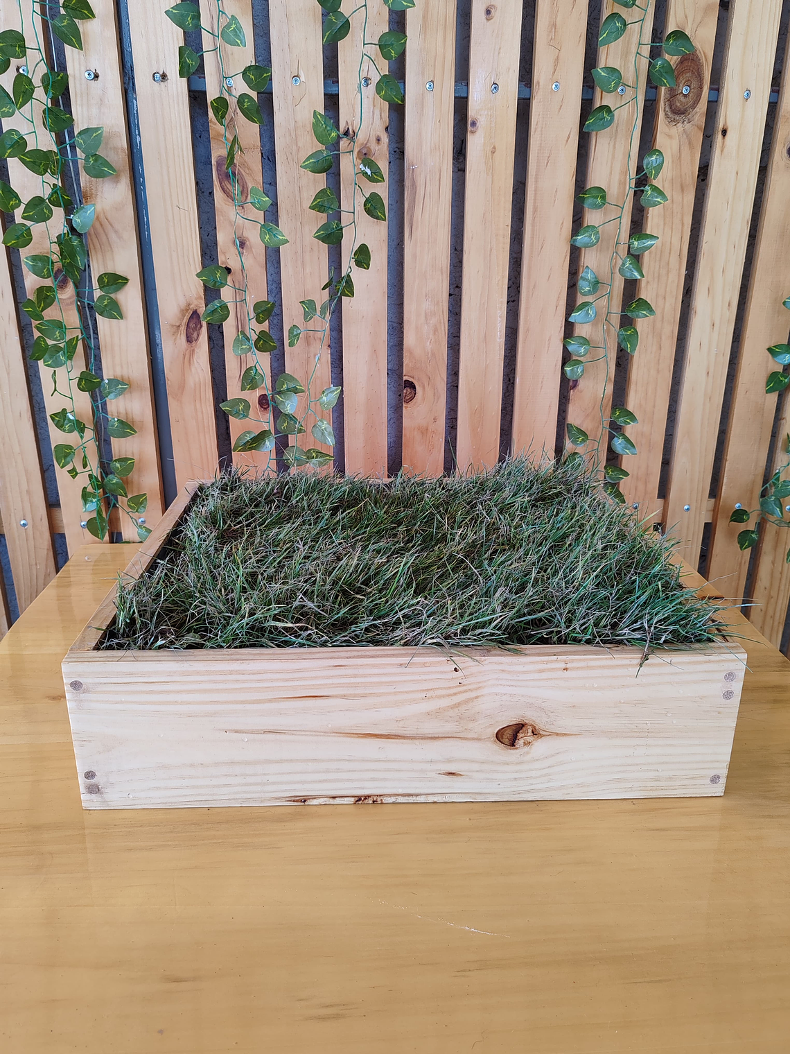 Ecolovers tamaño S 50cm x 45 cm  3