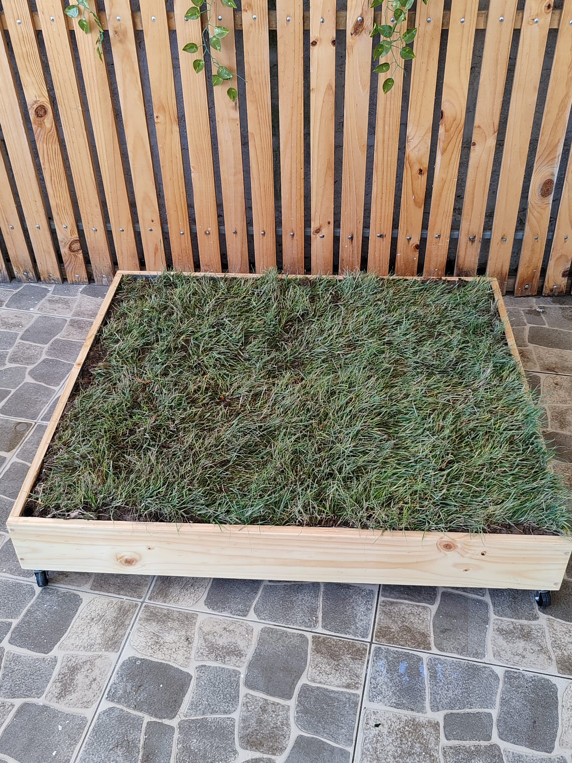 Ecolovers tamaño L 90 cm x 100 cm  3