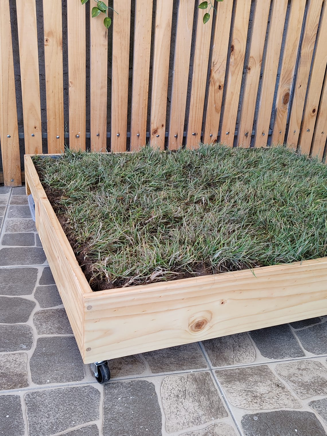 Ecolovers tamaño L 90 cm x 100 cm  4