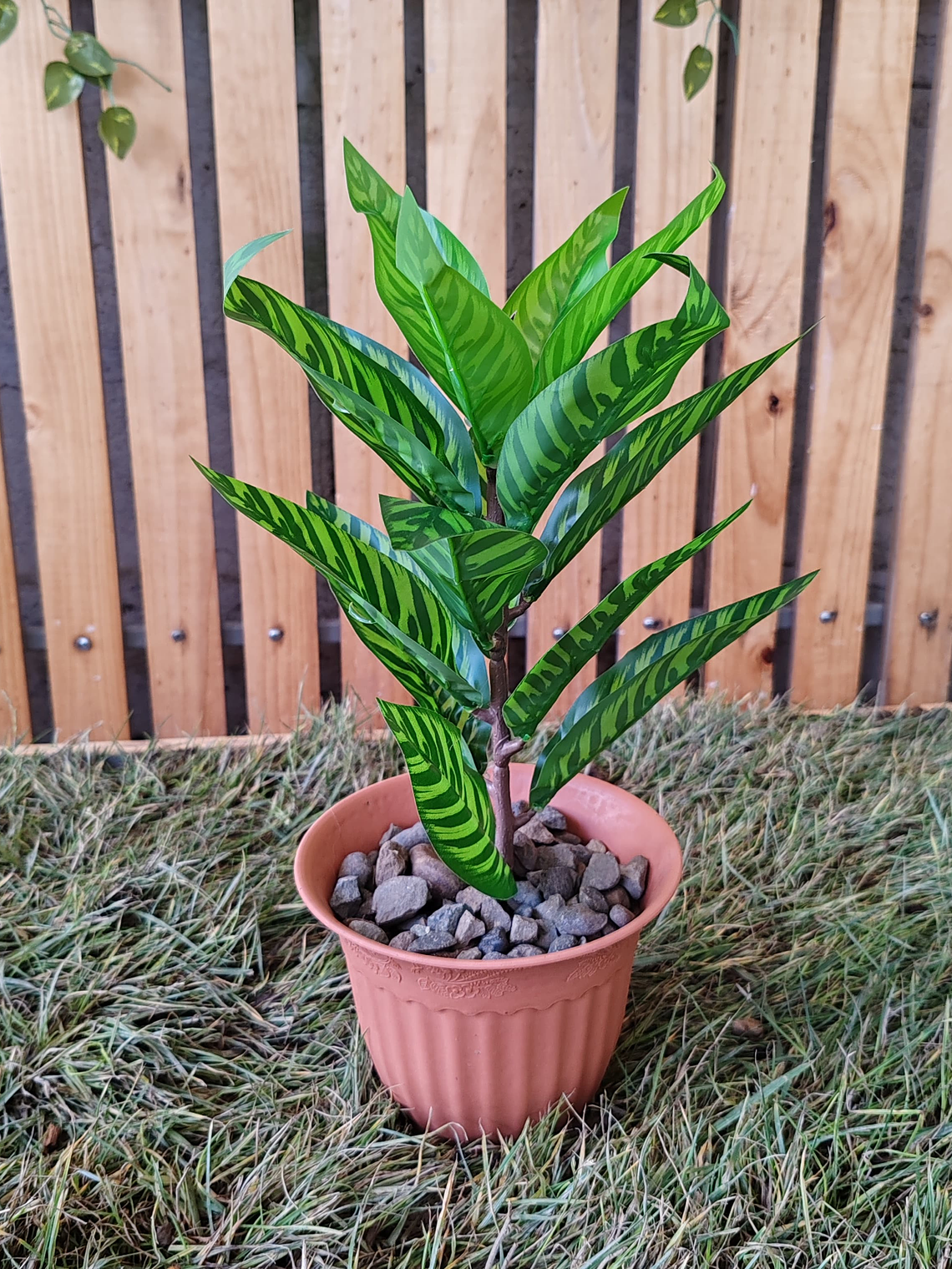 Planta Decorativa ECOLOVERS 1