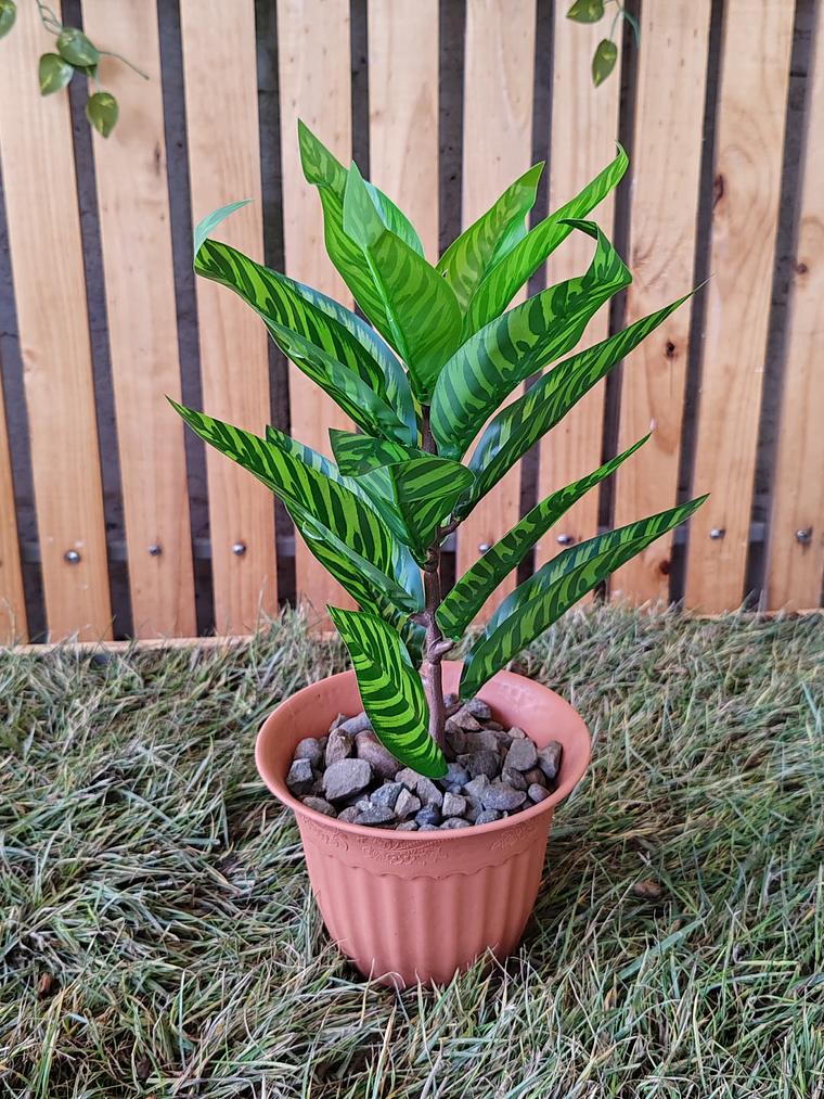 Planta Decorativa ECOLOVERS 1