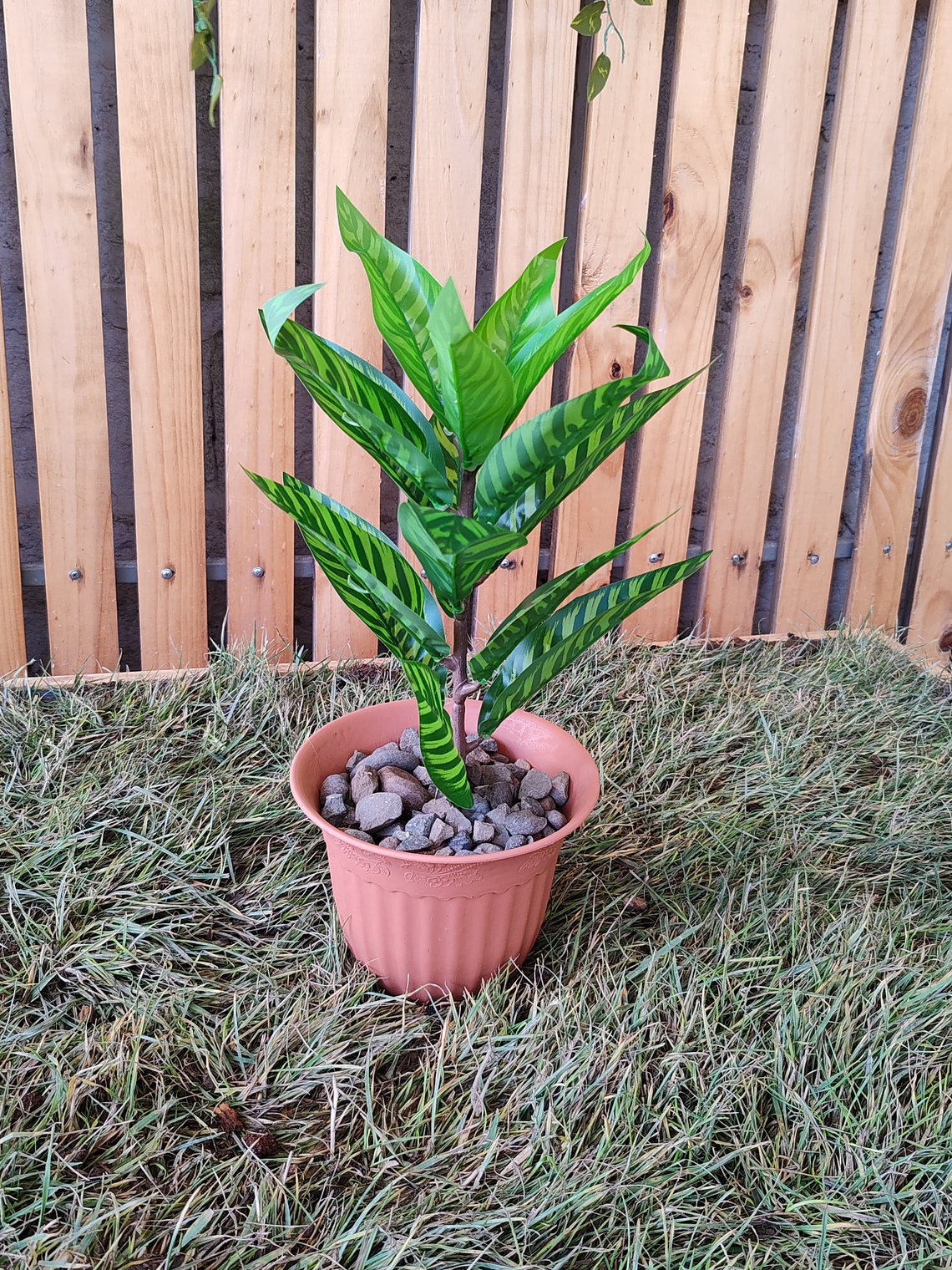 Planta Decorativa ECOLOVERS 3