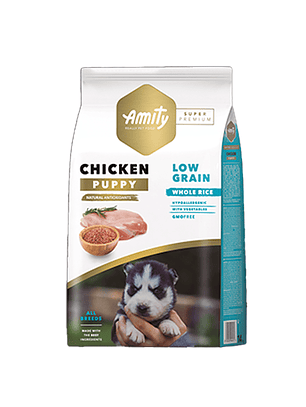 Amity Chicken puppy 4 Kilos